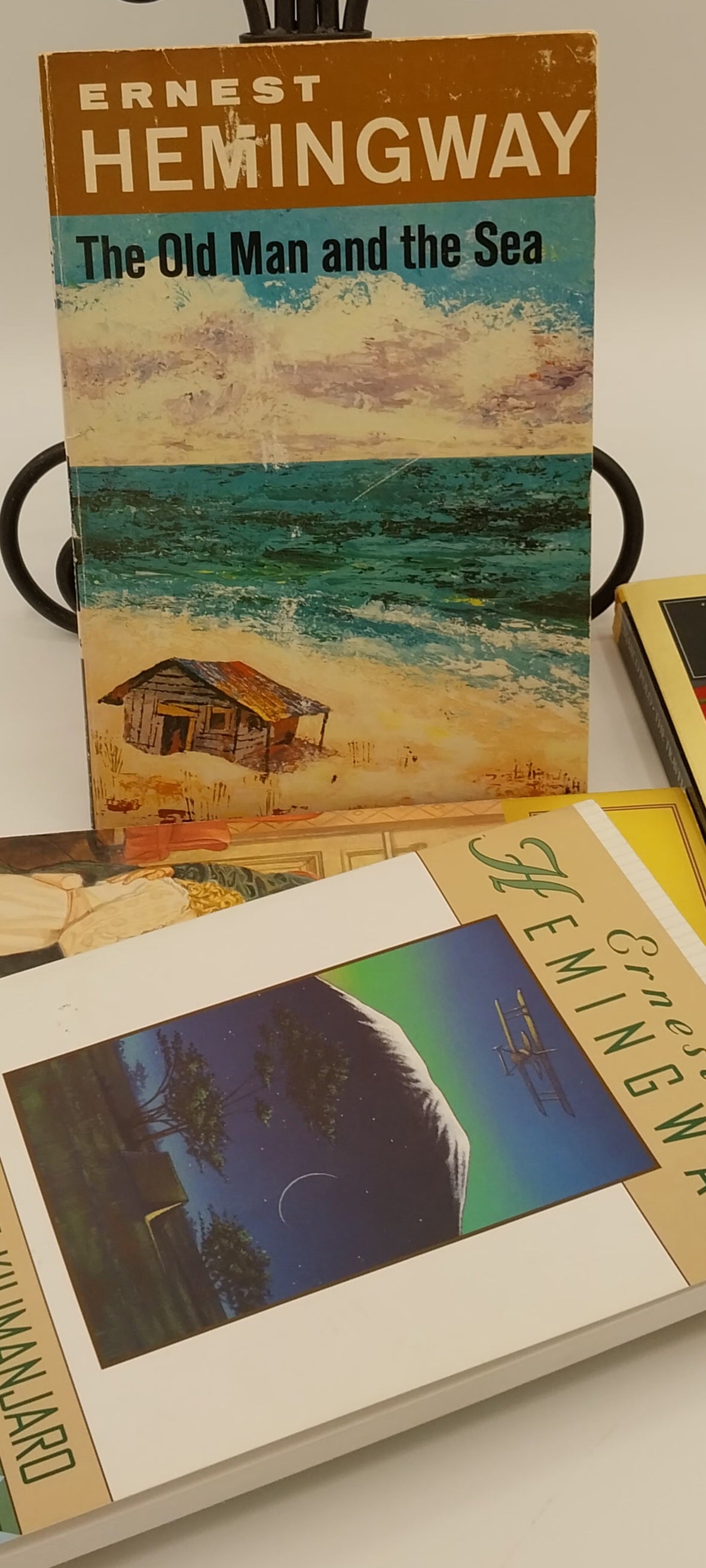 Classic Literature Vintage Paperback Bundle