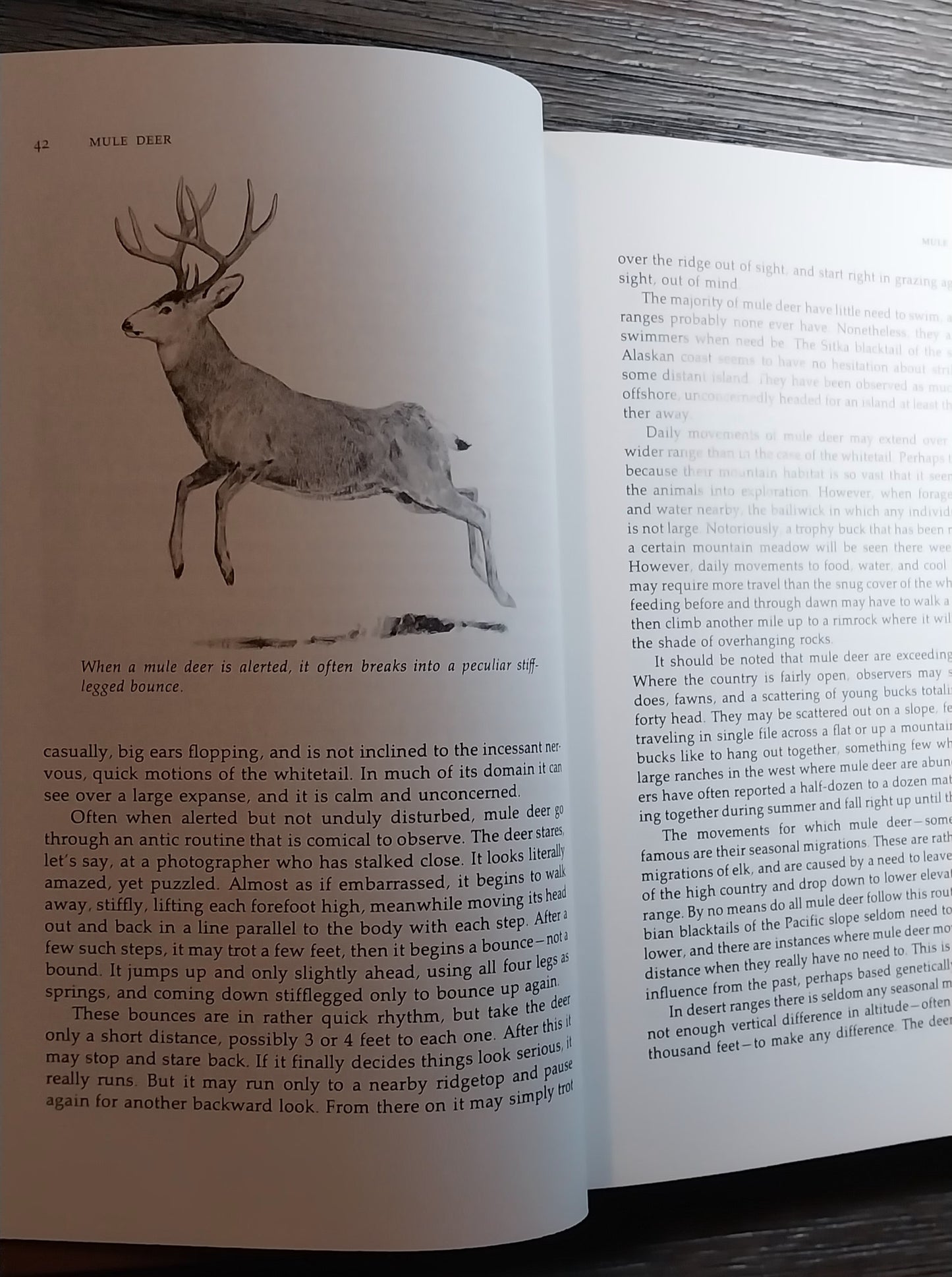 North American Game Animals