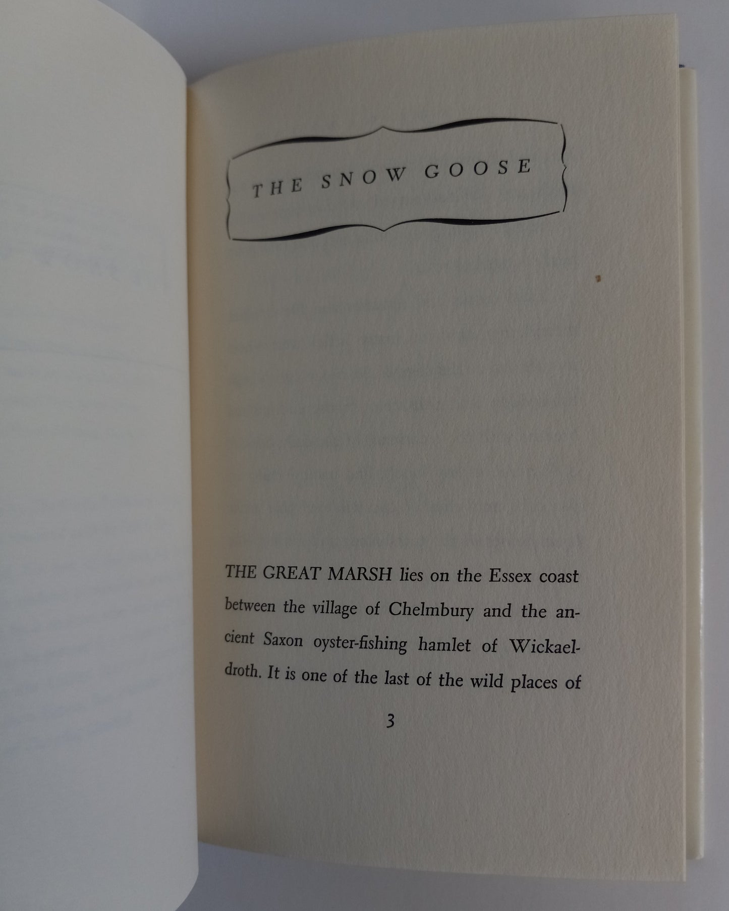 The Snow Goose