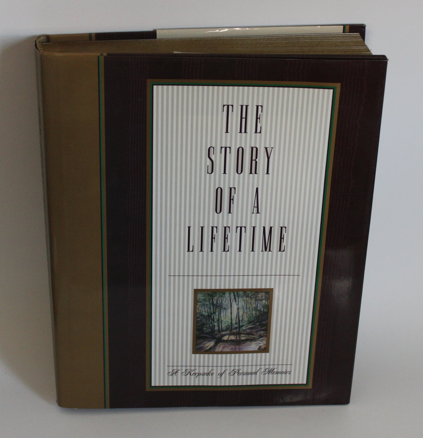 The Story Of A Lifetime