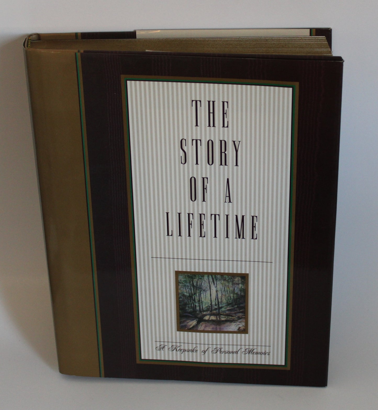 The Story Of A Lifetime