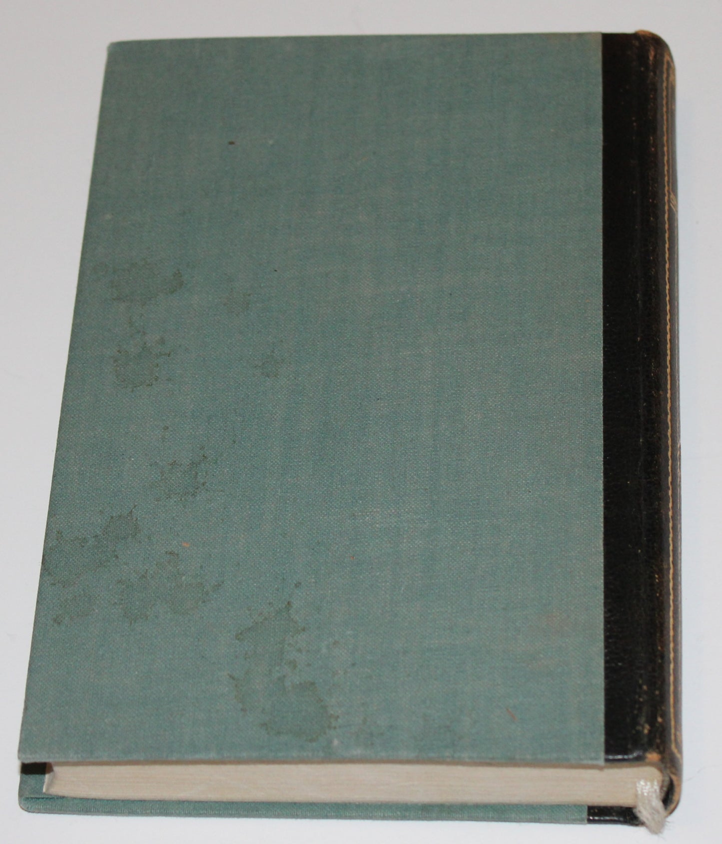 The Most Beautiful Stories From The Decameron