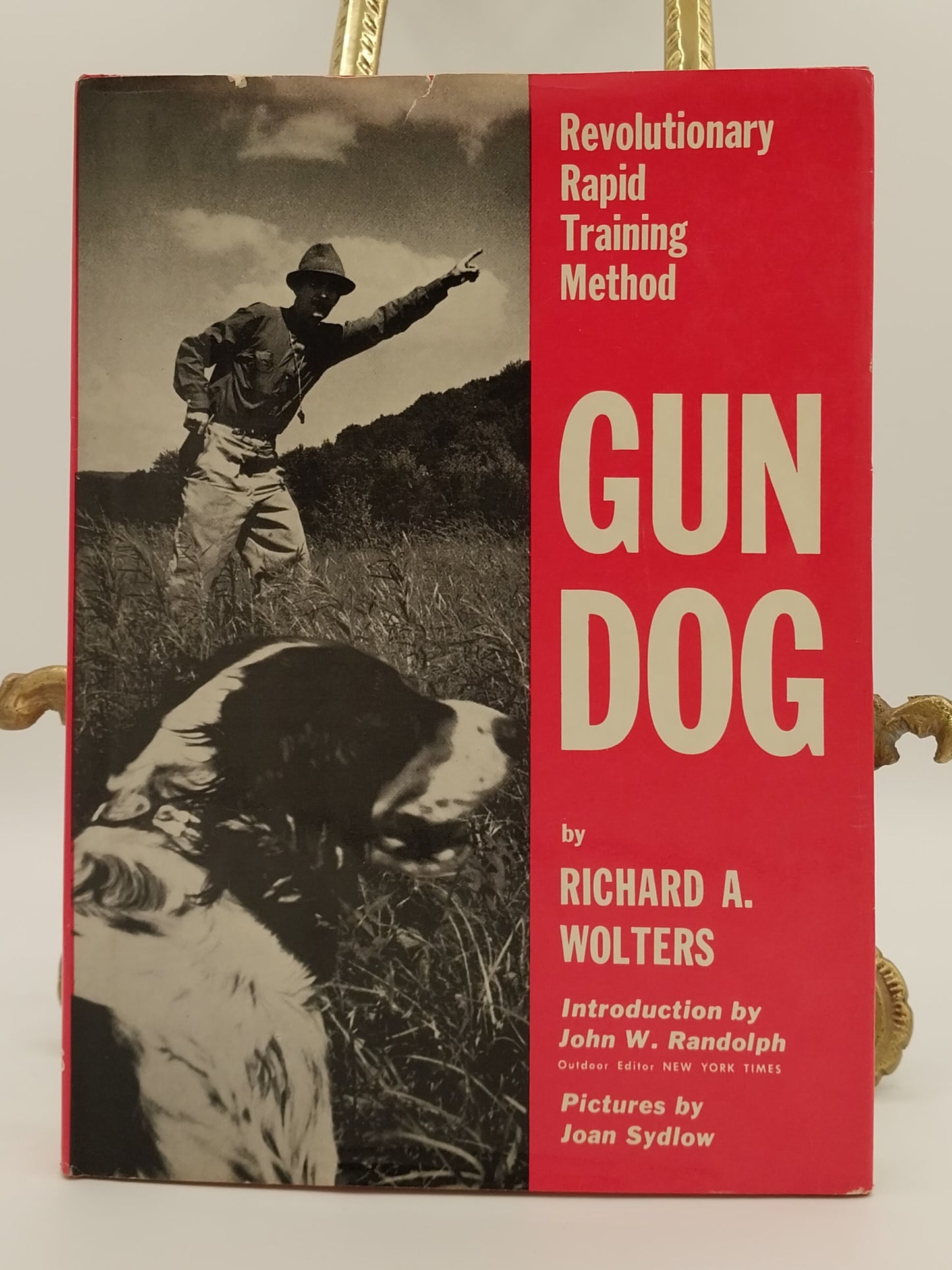 Gun Dog