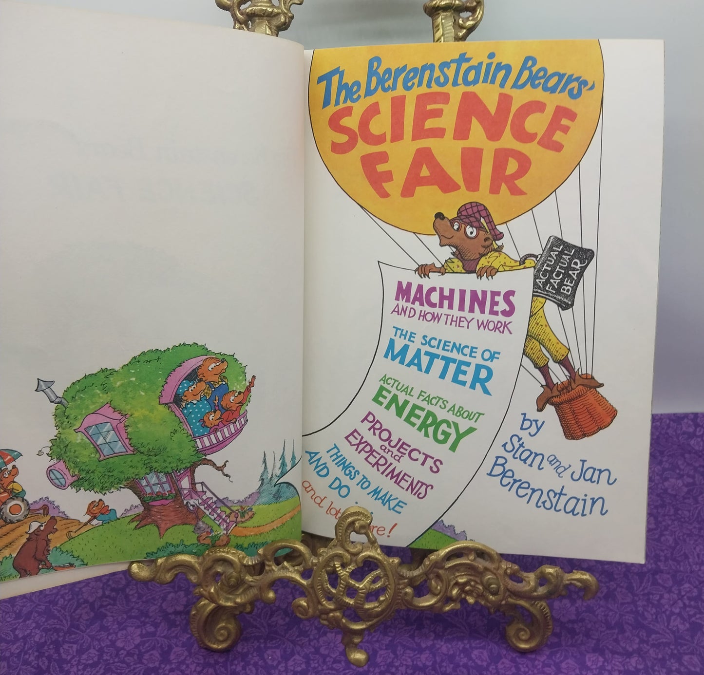 The Berenstain Bears: Science Fair