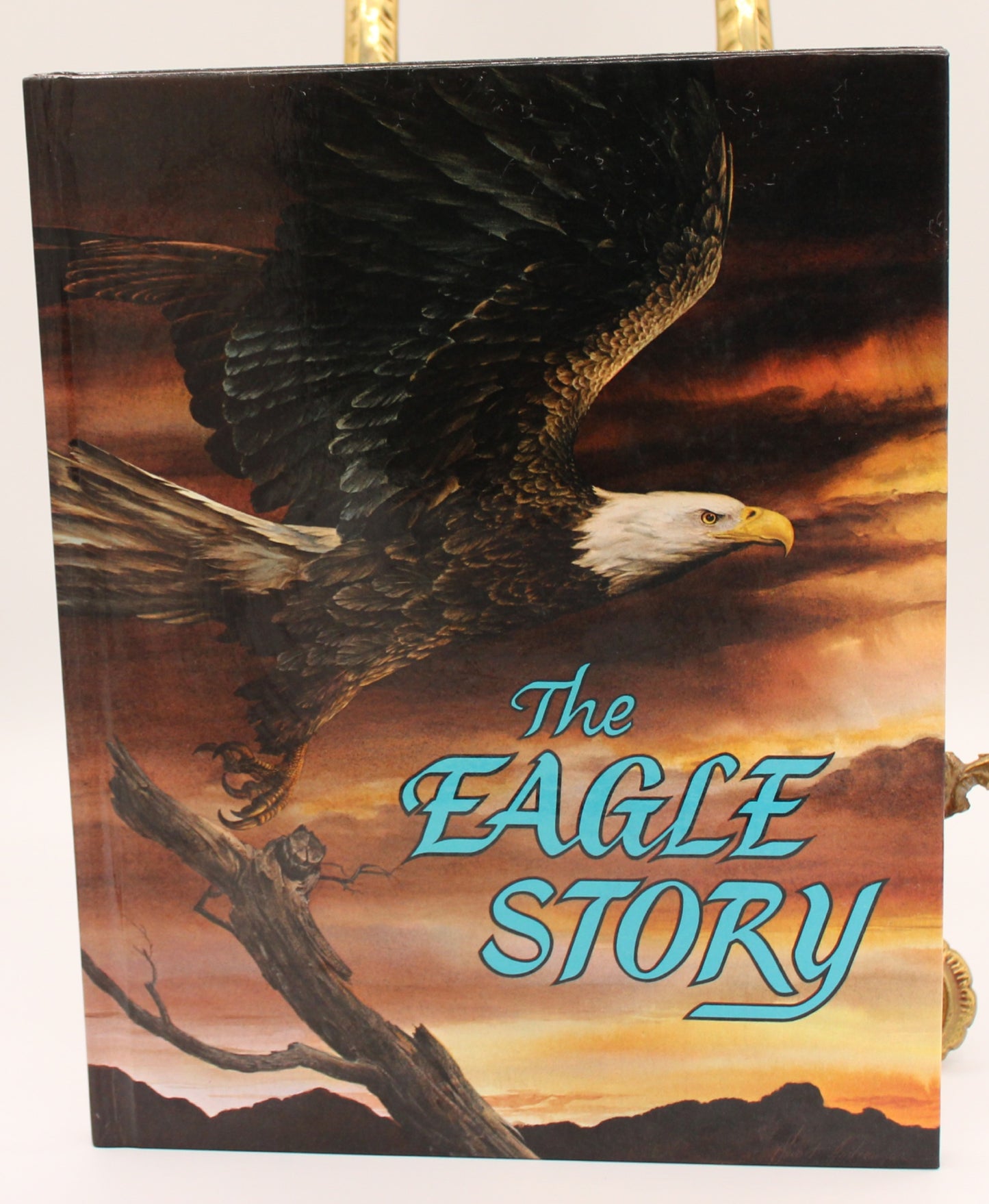 The Eagle Story