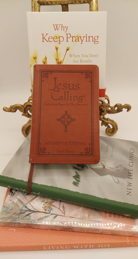 Bundle of Christian Journals and Devotionals