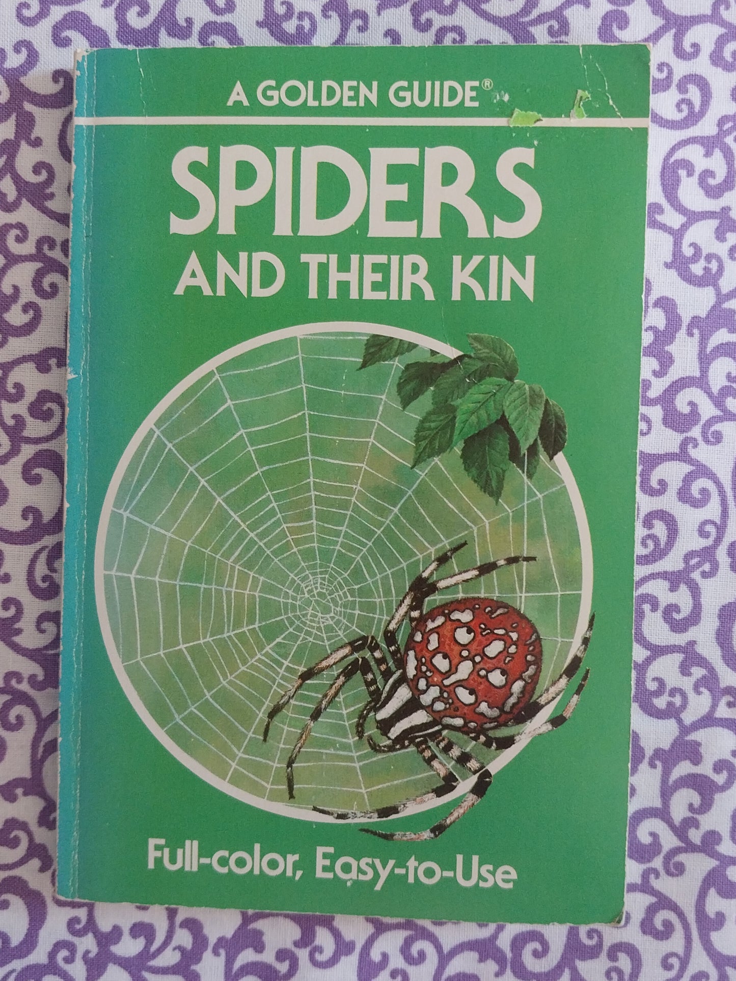 Spiders and Their Kin