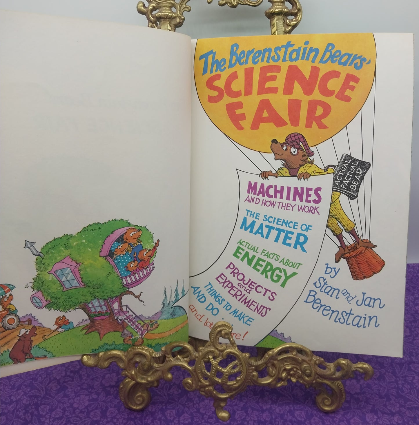 The Berenstain Bears: Science Fair