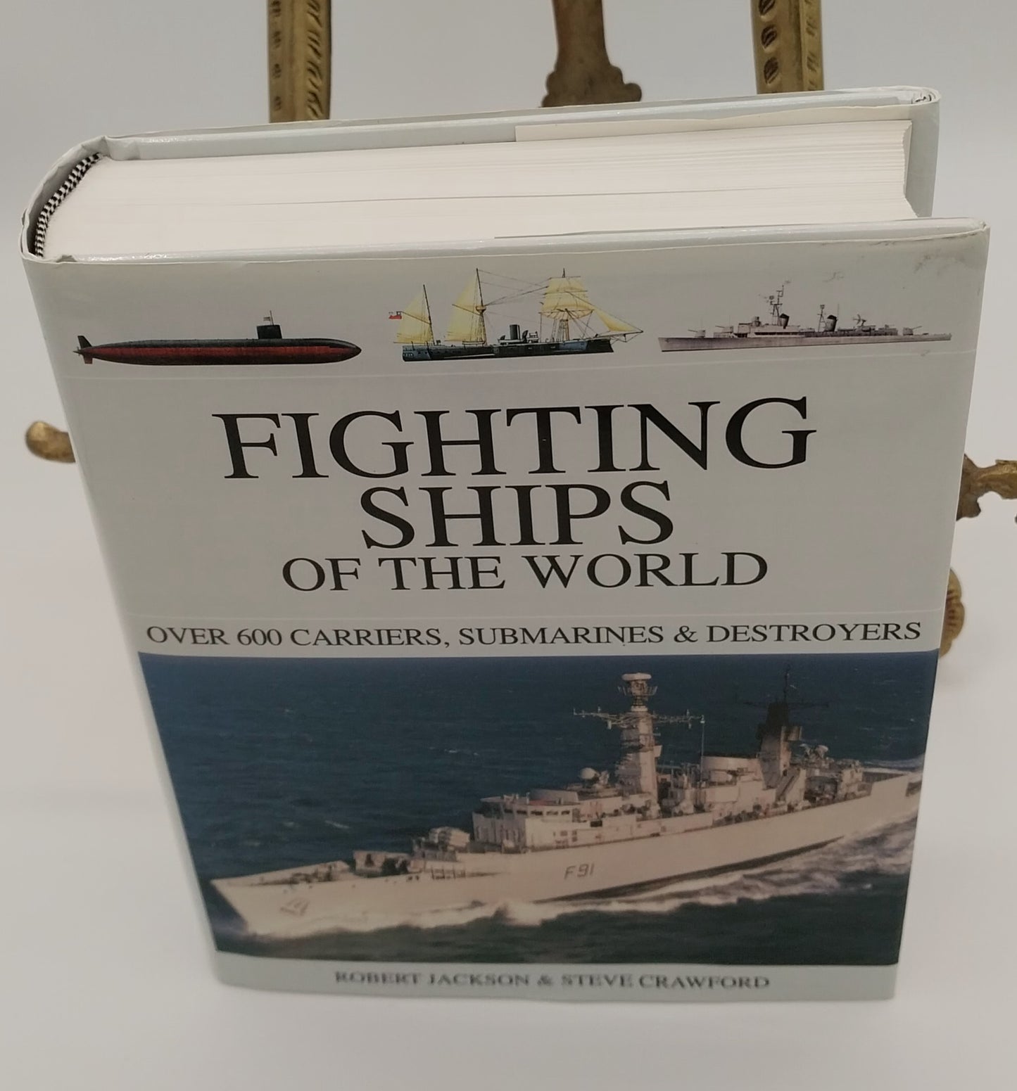 Fighting Ships Of The World