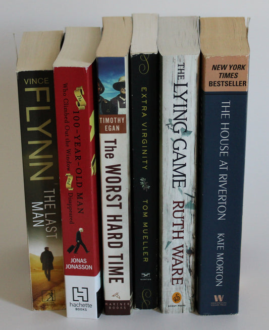 RANDOM GENRE BOOK BUNDLE (Lot of 6)