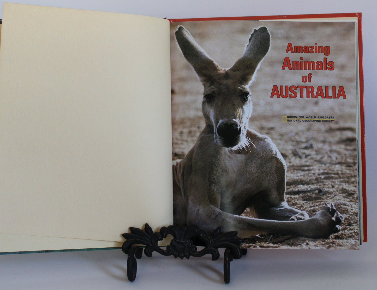 Amazing Animals of Australia